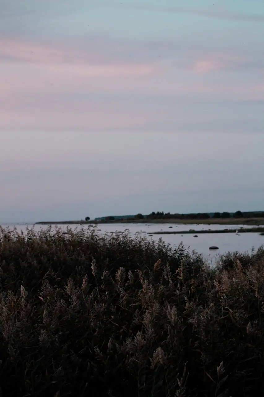 Baltic coast scenery